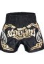 boxing martial arts3
